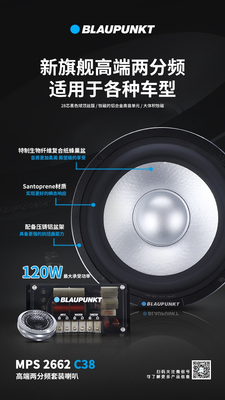 德國（藍(lán)寶BLAUPUNKT）MPS 2662 C38 新旂艦高端兩分頻